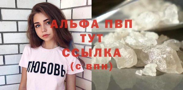 стафф Гусев