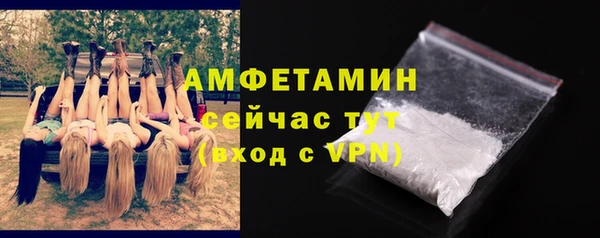 стафф Гусев