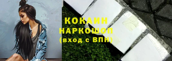 стафф Гусев