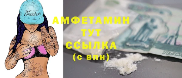 стафф Гусев