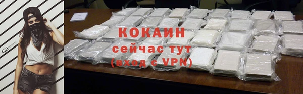 стафф Гусев