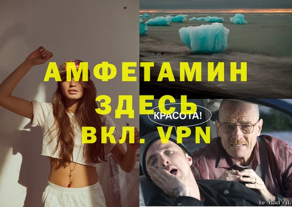 стафф Гусев