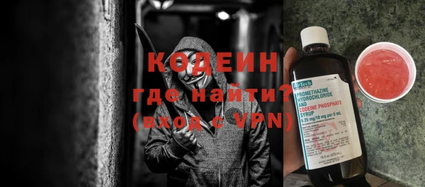 стафф Гусев