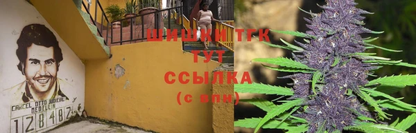 прущая мука Гусиноозёрск