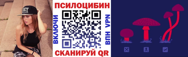купить  цена  Донецк  Галлюциногенные грибы Cubensis 